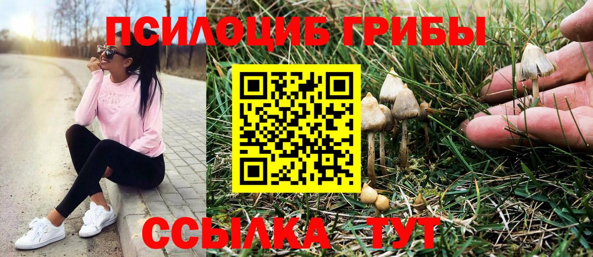 Галлюциногенные грибы MAGIC MUSHROOMS  Псилоцибиновые грибы мухоморы  Кумертау  Вход с VPN 